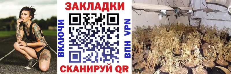 Виды наркотиков купить Югорск Каннабис  МЕФ  Амфетамин  ГАШИШ  Галлюциногенные грибы  А ПВП  КОКАИН 