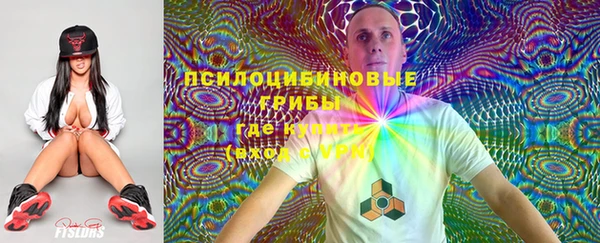 тгк Вязьма