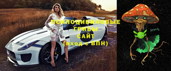 ГАЛЛЮЦИНОГЕННЫЕ ГРИБЫ Волосово